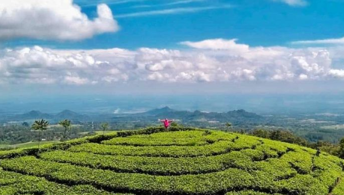 wisata gunung lawu